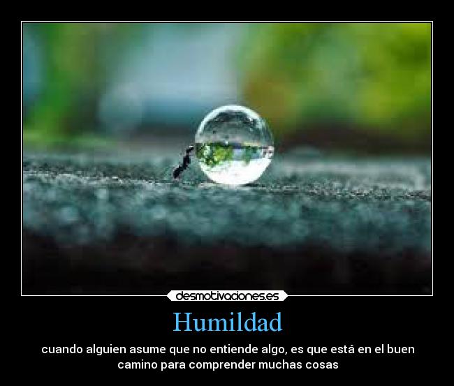 carteles vida desmotivaciones