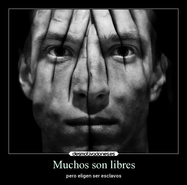 Muchos son libres - 