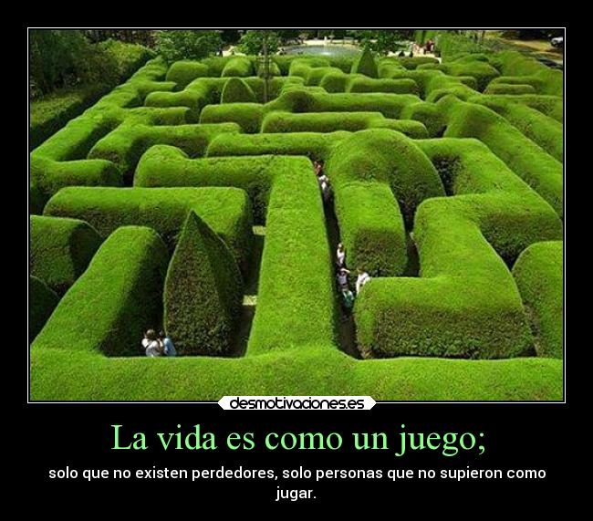 La vida es como un juego; - solo que no existen perdedores, solo personas que no supieron como
jugar.