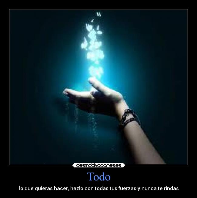 Todo - 
