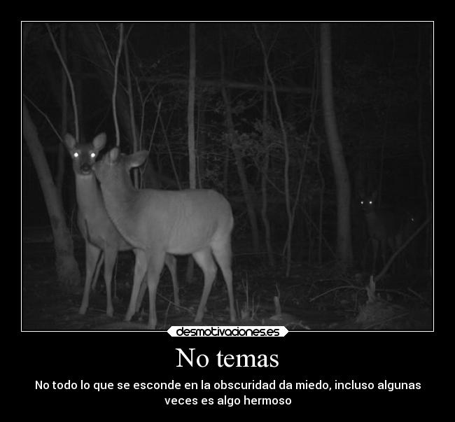No temas - No todo lo que se esconde en la obscuridad da miedo, incluso algunas
veces es algo hermoso