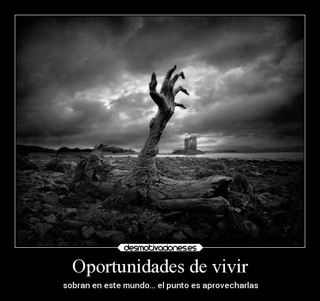 Oportunidades de vivir - sobran en este mundo... el punto es aprovecharlas