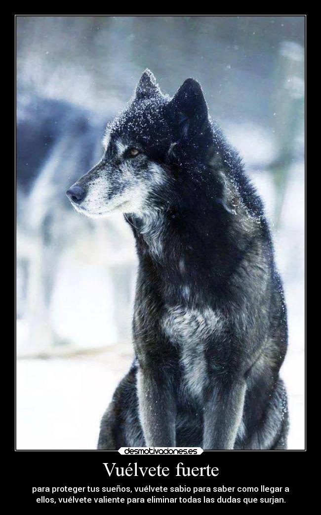 Vuélvete fuerte - para proteger tus sueños, vuélvete sabio para saber como llegar a
ellos, vuélvete valiente para eliminar todas las dudas que surjan.