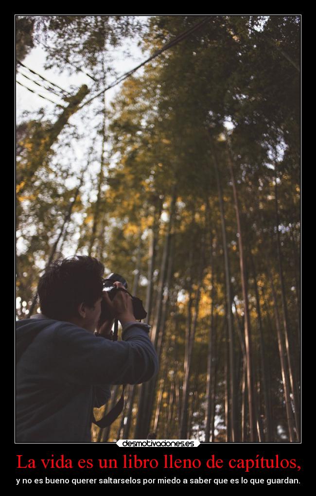 La vida es un libro lleno de capítulos, - 