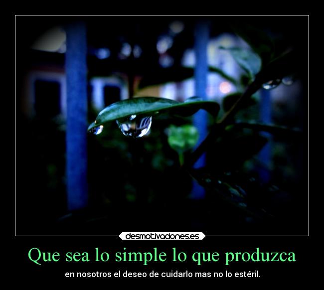 Que sea lo simple lo que produzca -