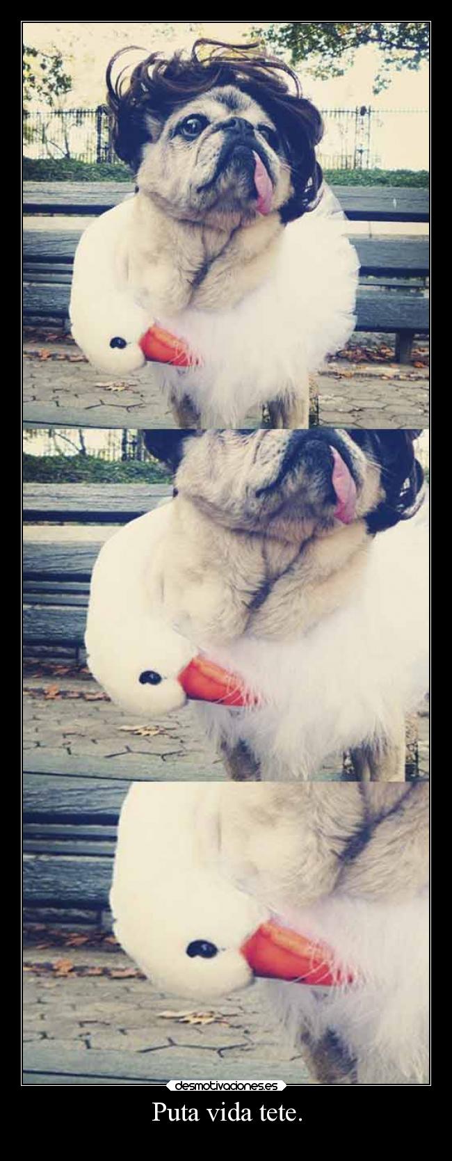 Puta vida tete. - 