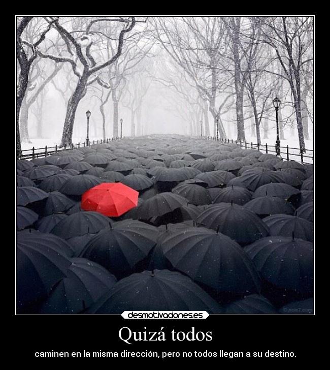Quizá todos - caminen en la misma dirección, pero no todos llegan a su destino.