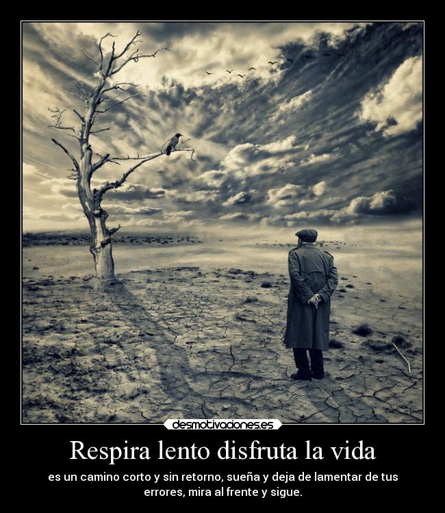 Respira lento disfruta la vida - es un camino corto y sin retorno, sueña y deja de lamentar de tus
errores, mira al frente y sigue.
