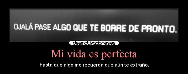 Mi vida es perfecta - 