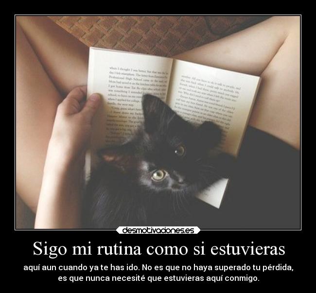 Sigo mi rutina como si estuvieras - aquí aun cuando ya te has ido. No es que no haya superado tu pérdida,
es que nunca necesité que estuvieras aquí conmigo.