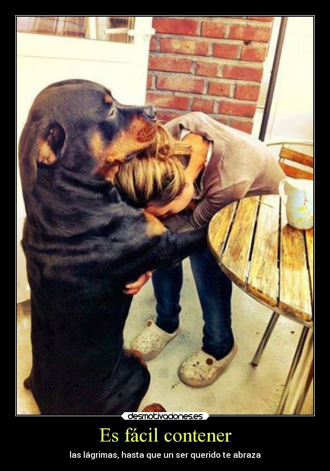 carteles vida felicidad dolor desmotivaciones desamor corazon confianza amigos abrazos amistad animales amor desmotivaciones