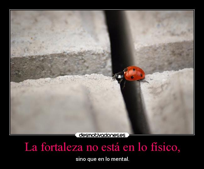 La fortaleza no está en lo físico, -