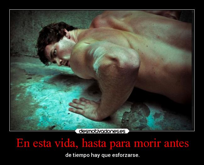 carteles vida frases kendizzzle kaff theshinyshadow mypukerainbows red clandesplazado soyunidiotatm ejercitodemar desmotivaciones