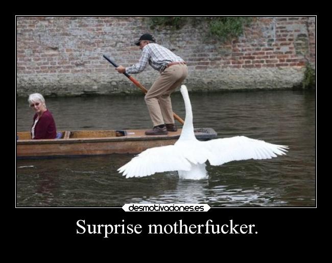 Surprise motherfucker. - 