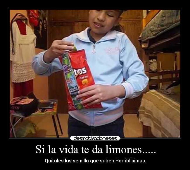 carteles vida internet jimena desmotivaciones