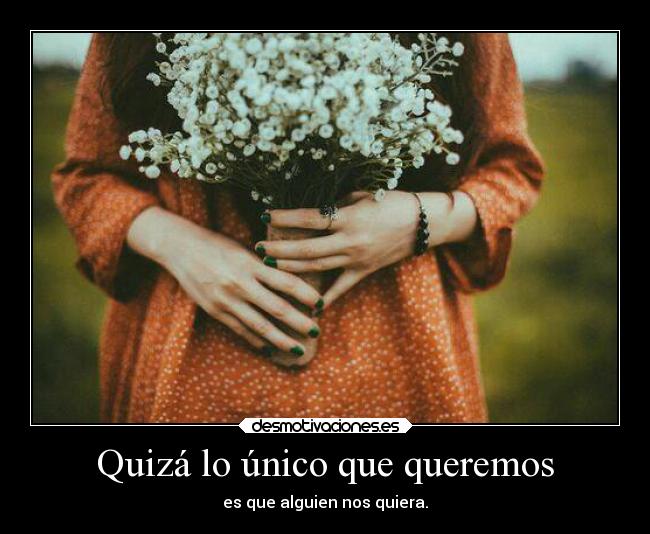 carteles vida lamusicaesmialma traumadefindelibro soyundiotatm meaburro alguienquemequiera yerg desmotivaciones