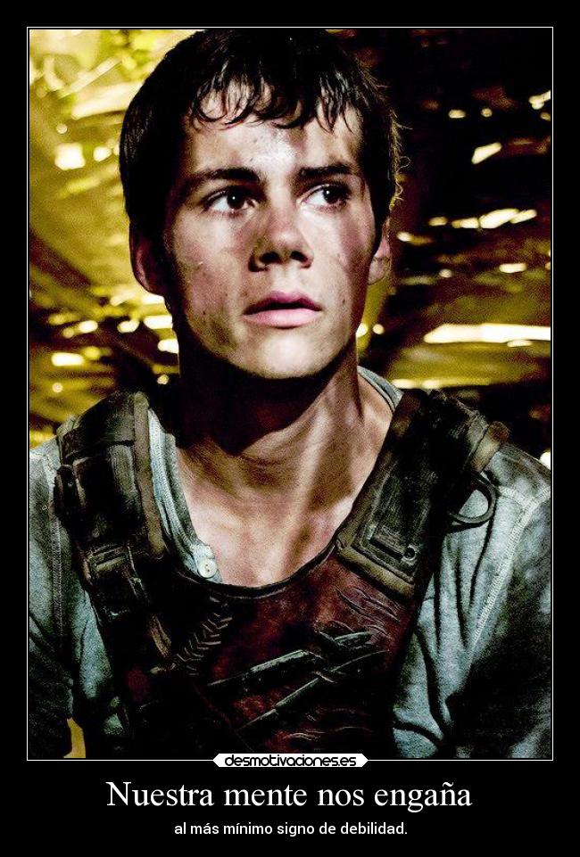 carteles vida lamusicaesmialma traumadefindelibro soyundiotatm meaburro thomas dylanobrien mazerunner mente desmotivaciones