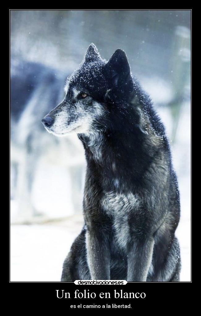 Un folio en blanco - es el camino a la libertad.