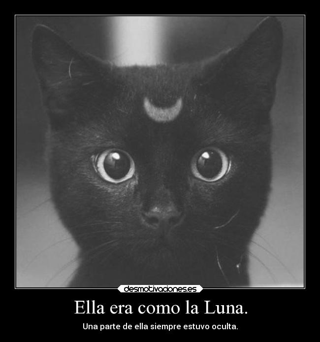 Ella era como la Luna. - Una parte de ella siempre estuvo oculta.