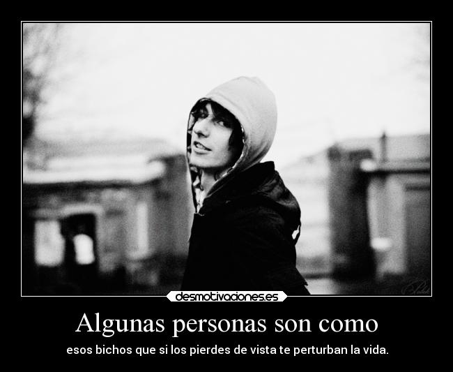 Algunas personas son como - esos bichos que si los pierdes de vista te perturban la vida.