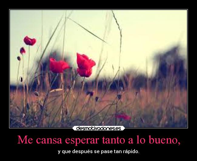 Me cansa esperar tanto a lo bueno, - y que después se pase tan rápido.