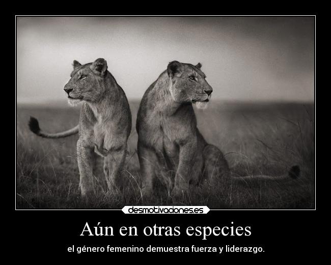 carteles vida mujeres desmotivaciones