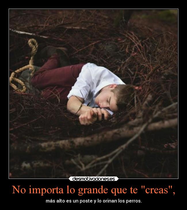 No importa lo grande que te creas, - más alto es un poste y lo orinan los perros.