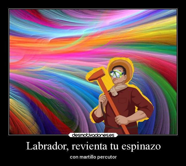 Labrador, revienta tu espinazo - 