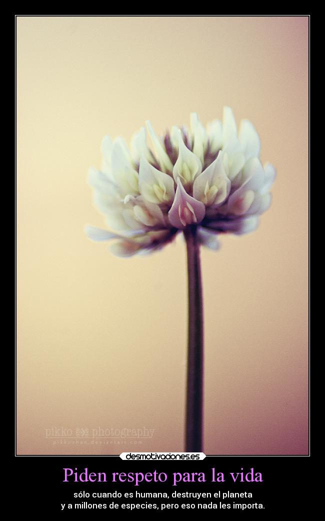 Piden respeto para la vida -