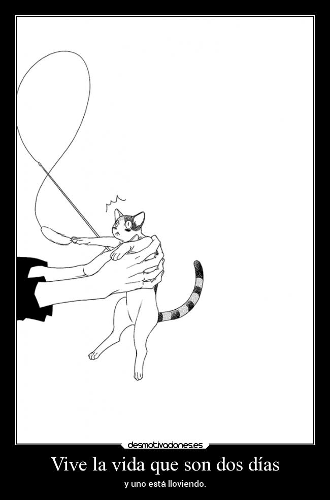 Vive la vida que son dos días - y uno está lloviendo.