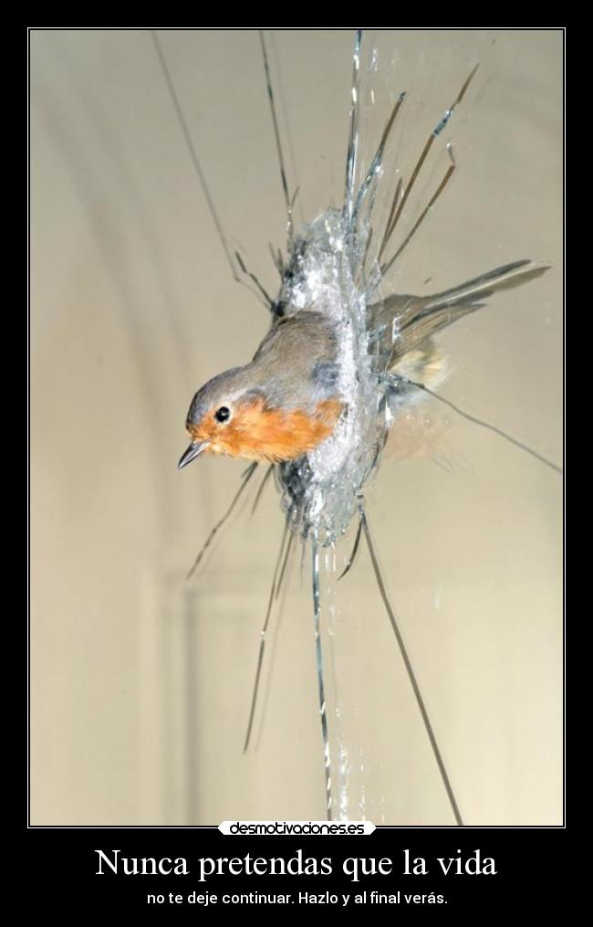 carteles vida vida sociedad obstaculos motivaciones ayuda ausencia alma delolvido desmotivaciones