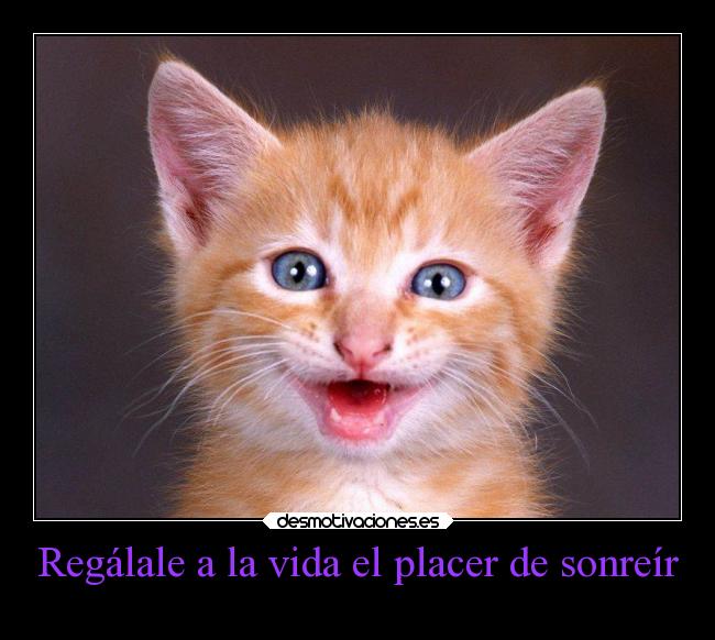 Regálale a la vida el placer de sonreír - 
