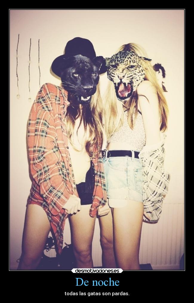 De noche - todas las gatas son pardas.