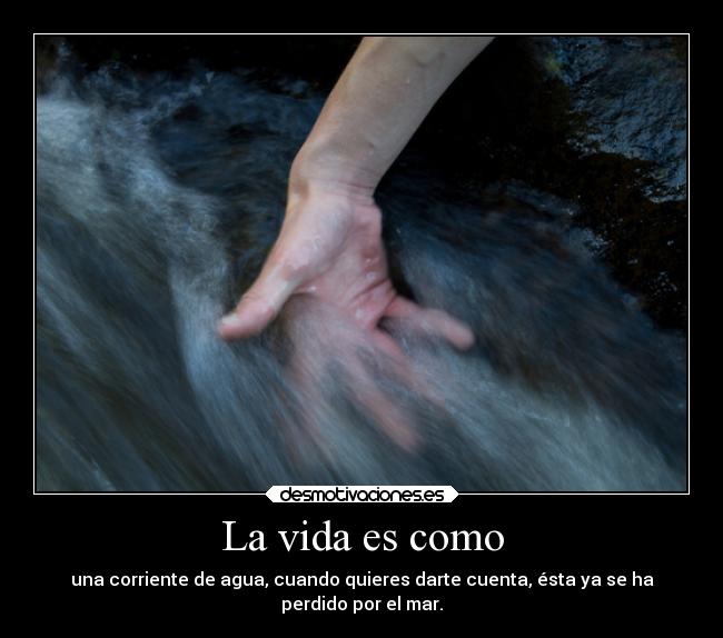 carteles vida vida todopasarapido todoacaba cosasdeson elegysonrifilosofic clanmonosas desmotivaciones