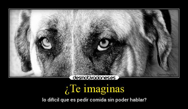 ¿Te imaginas - 