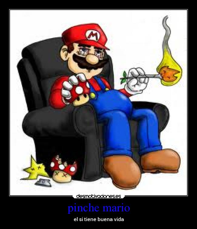 pinche mario - 