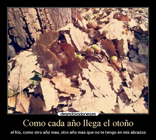 Como cada año llega el otoño -