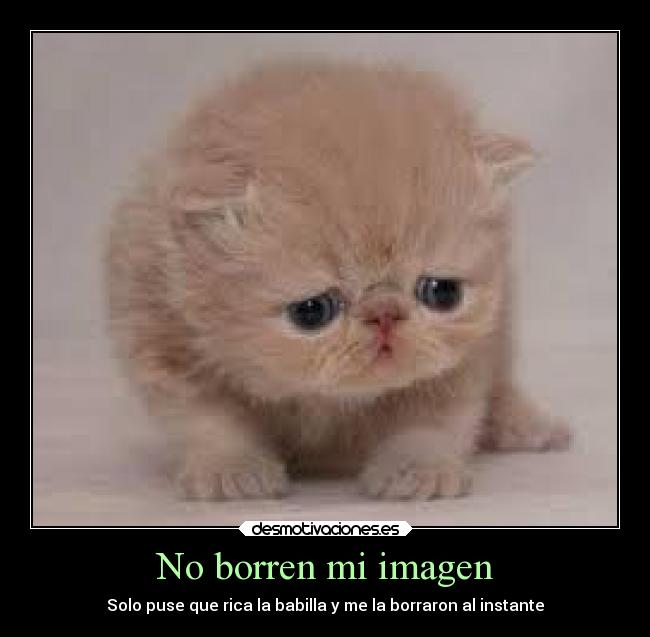 No borren mi imagen -