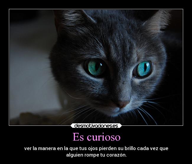 carteles alma corazonroto estoysola soyunidiotatm cadadiaestoylashecha desmotivaciones