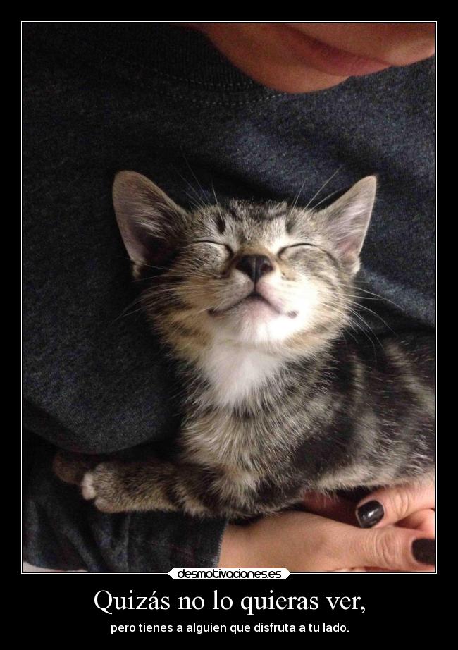 carteles alma desmotivaciones