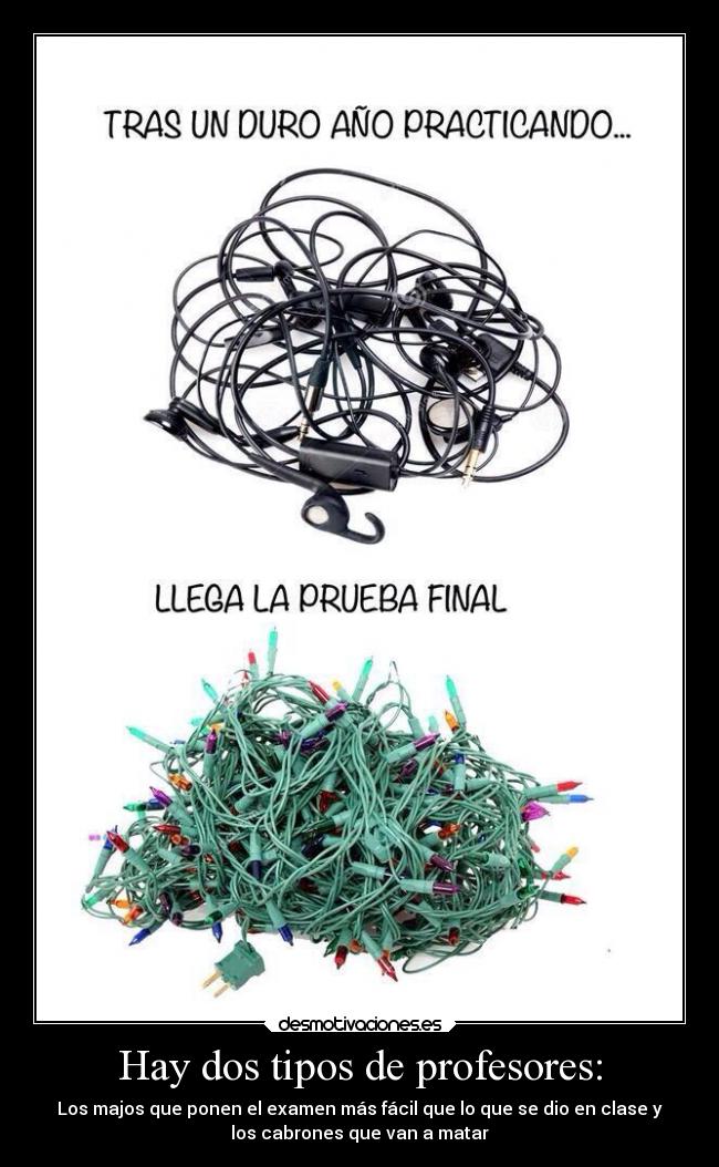 Hay dos tipos de profesores: -