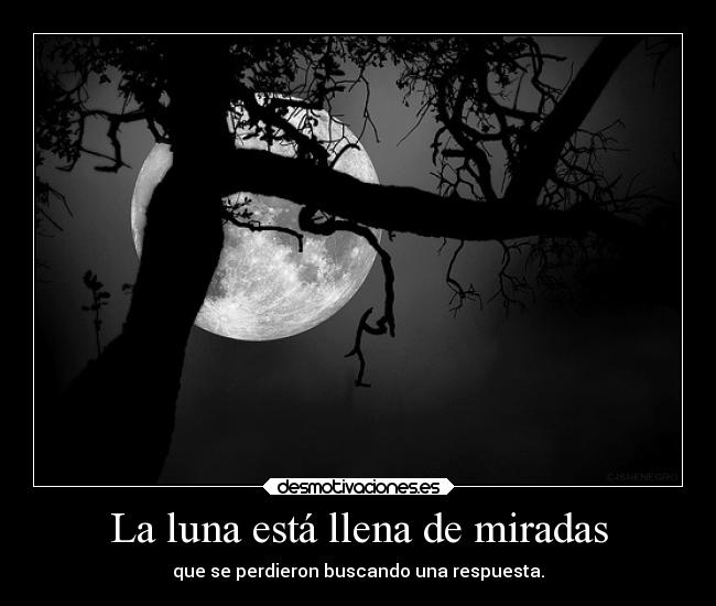 La luna está llena de miradas - que se perdieron buscando una respuesta.