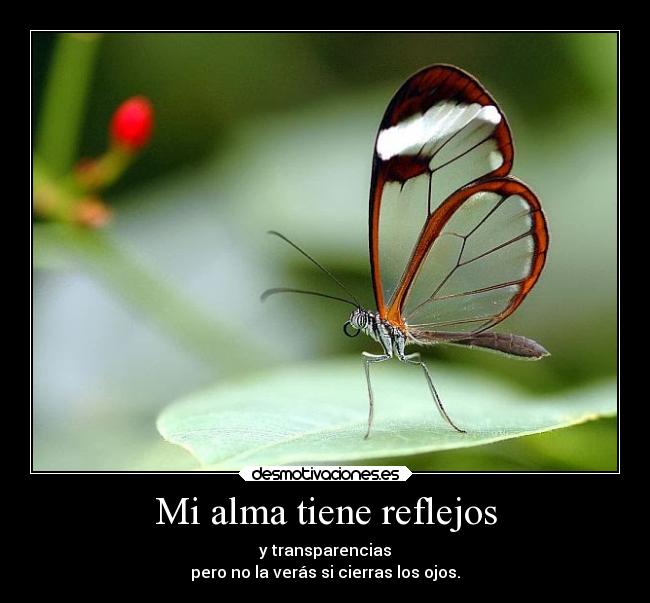 Mi alma tiene reflejos - y transparencias
pero no la verás si cierras los ojos.