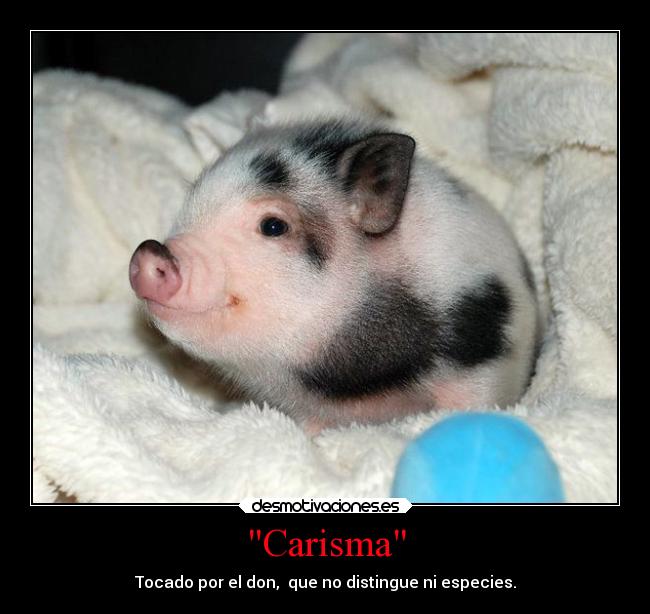 Carisma - Tocado por el don, que no distingue ni especies.