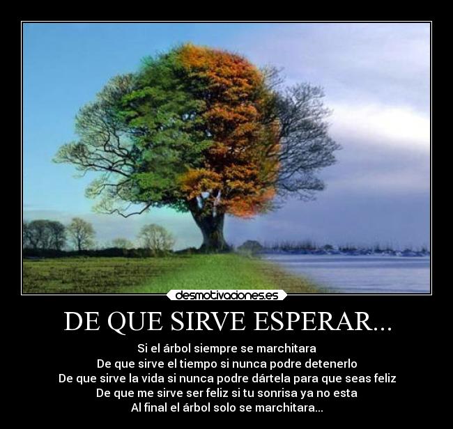 DE QUE SIRVE ESPERAR... - 
