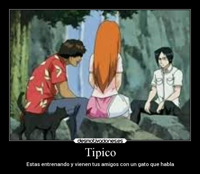 Tipico - Estas entrenando y vienen tus amigos con un gato que habla
