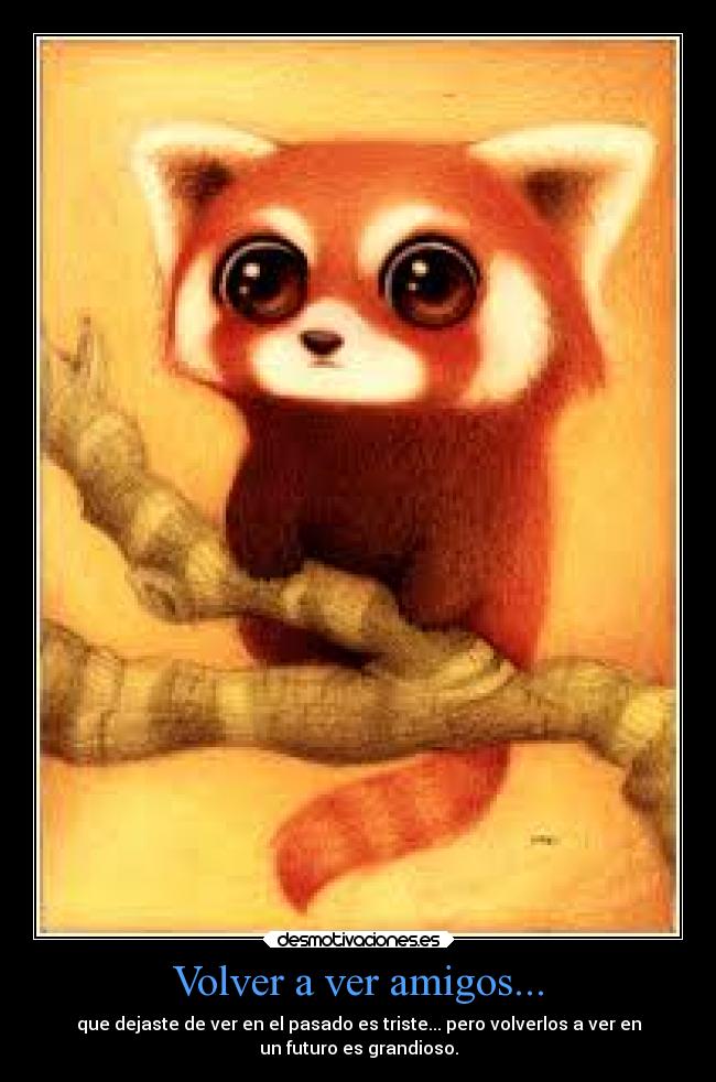 Volver a ver amigos... - 