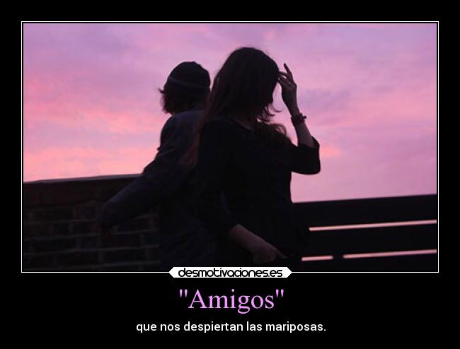 Amigos -