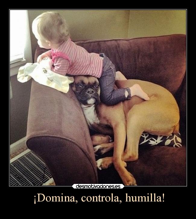 ¡Domina, controla, humilla! -