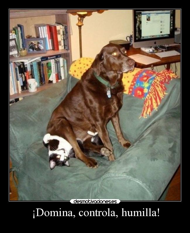 ¡Domina, controla, humilla! -